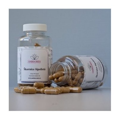 DAYAN Škornice šípolistá Extrakt 550 mg 60 kapslí – Zboží Mobilmania