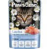 Kapsička pro kočky Pawsome Cat Light s lososem 85 g