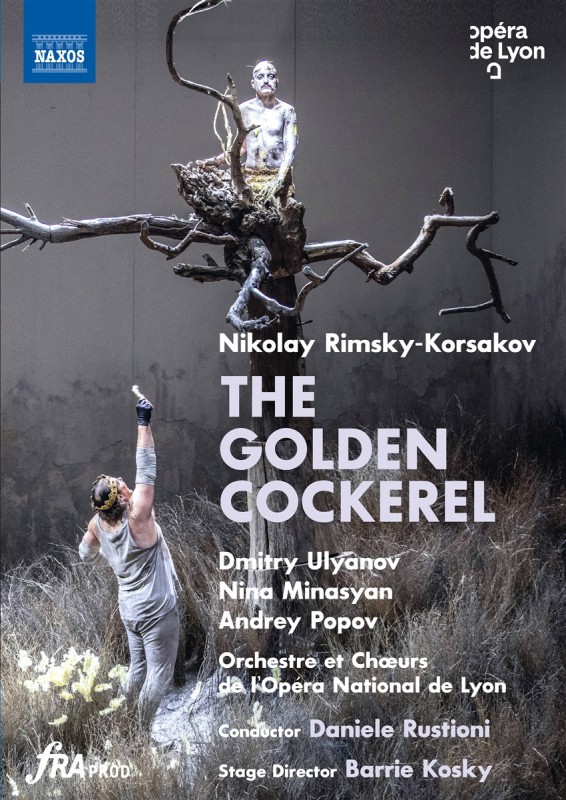 Nicolai Rimsky-Korsakov : Zlatý Kohoutek DVD