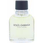 Dolce & Gabbana toaletní voda pánská 75 ml – Hledejceny.cz