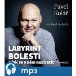 Labyrint bolesti – Hledejceny.cz