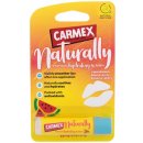 Carmex Watermelon hydratační balzám na rty v tyčince 4,25 g