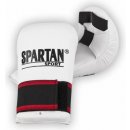 Spartan Sport karate