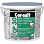 CERESIT CP 30 Aquablock opravný silikon 1kg černý – Sleviste.cz
