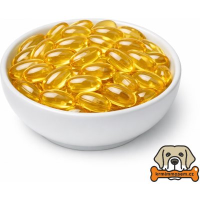 KRMIMMASEM.CZ Omega-3 Vital s vitamínem E 1000 mg pro psy 125 ks – Hledejceny.cz