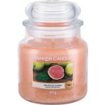 Yankee Candle Delicious Guava 411 g – Zbozi.Blesk.cz