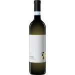 Tenuta I Fauri Trebbiano d'Abruzzo BALDOVINO 2022 12% 0,75 l (holá láhev) – Hledejceny.cz