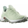 Salomon Alphacross 3 GTX W L41601300 spray white wrought Iron