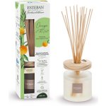 Esteban Paris Parfums Nature tyčinkový difuzér Orange & Green Tea 200 ml – Sleviste.cz