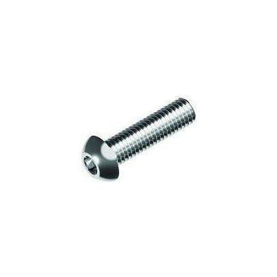 Hahn Steel Imbusový šroub s hřibovitou hlavou M5 x 12 mm, AISI 304 93.0511.512.17 – Sleviste.cz