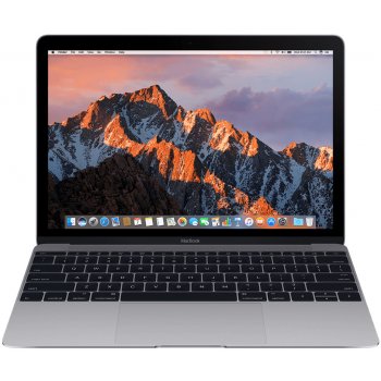 Apple MacBook MLH82CZ/A