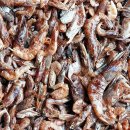 Apetit Shrimps 60 g