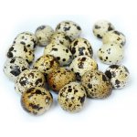 Vajíčka křepelčí prázdná, přírodní, 3 cm – Sleviste.cz