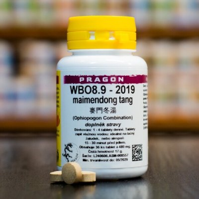 Pragon WBO8.9 2019 36 tablet – Hledejceny.cz