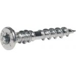 Vrut Rapi-tec UNI PLUS / 4 x 40 mm T20 – Hledejceny.cz