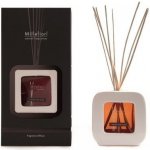 Milefiori Natural Vanilka a dřevo Aroma difuzér 250 ml – Hledejceny.cz