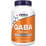 Now Foods GABA kyselina gama-aminomáselná 750 mg 200 rostlinných kapslí – Hledejceny.cz