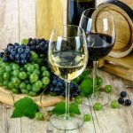 Venkovní úniková hra: Vinařská cyklo-únikovka – Hledejceny.cz