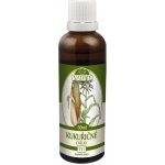 Naděje Kukuřice čnělky tinktura 50 ml – Hledejceny.cz