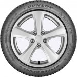 Dunlop Winter Sport 5 205/55 R16 91T | Zboží Auto
