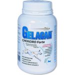 Gelacan Chondro Forte plv 500 g – Hledejceny.cz