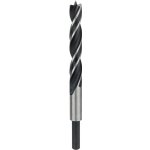 Bosch 2608596309 – Hledejceny.cz