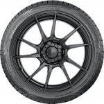 Nokian Tyres Powerproof 255/50 R19 107Y – Hledejceny.cz
