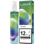 Ritchy Liqua Mix&Go Two Mints 12 ml – Hledejceny.cz