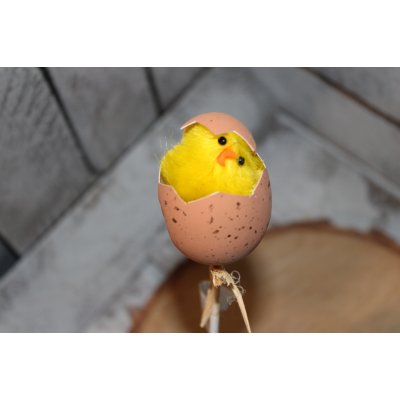 Kuřátka ve vajíčku typ.2 – Hledejceny.cz