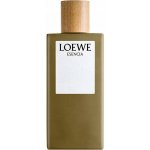 Loewe Esencia toaletní voda pánská 100 ml – Hledejceny.cz