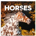 poznámkový Koně Christiane Slawik 30 x 30 cm 2026 – Zboží Mobilmania