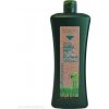 Šampon Salerm Biokera Shampoo na mastné vlasy 1000 ml