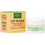 Mario Badescu Lip Mask with Coconut and Mango 14 g – Hledejceny.cz