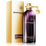 Montale Aoud Greedy Montale parfémovaná voda unisex 100 ml – Hledejceny.cz