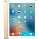 Apple iPad Pro Wi-Fi+Cellular 256GB ML2N2FD/A