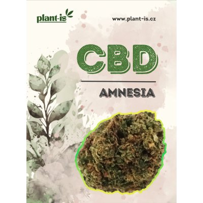 Plant-is Amnesia květy CBD 17% THC 0,5% 1g – Zboží Dáma