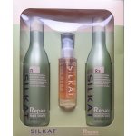 Bes Silkat R4 Repair Shimmer Shield Opravný nemastný olej 100 ml – Hledejceny.cz