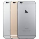 Kryt Apple iPhone 6 zadní stříbrný