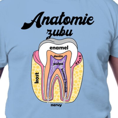Tričko pro zubaře Anatomie pánské – Hledejceny.cz