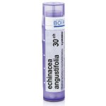 ECHINACEA ANGUSTIFOLIA POR 30CH GRA 1X4G – Hledejceny.cz