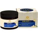 Maharishi Ayurveda Shilajit Resin 30 g – Hledejceny.cz