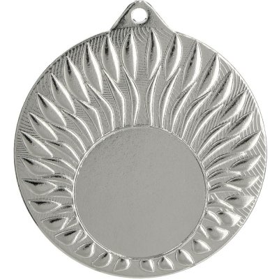 Univerzální kovová medaile zlatá stříbrná bronzová stříbrná 5 cm 2,5 cm – Hledejceny.cz