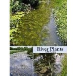 River Plants - S.M. Haslam – Hledejceny.cz