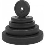 FitnessLine kotouč s cementovou náplní 1,25 kg 30 mm – Sleviste.cz