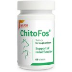 Dolfos ChitoFos - přírodní doplněk pro správnou funkci ledvin - 60 tbl – Hledejceny.cz