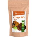 Zdravý den Chaga BIO 100 g