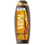 Vidal Argan Oil sprchový gel 250 ml – Zboží Dáma