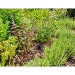 Gardena Smart senzor 19040-20 – Hledejceny.cz