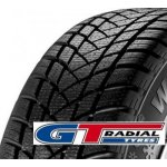 GT Radial WinterPro 2 215/50 R17 95V – Hledejceny.cz