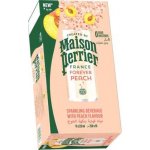 Perrier Broskev přírodní Minerální voda perlivá 10 x 250 ml – Hledejceny.cz